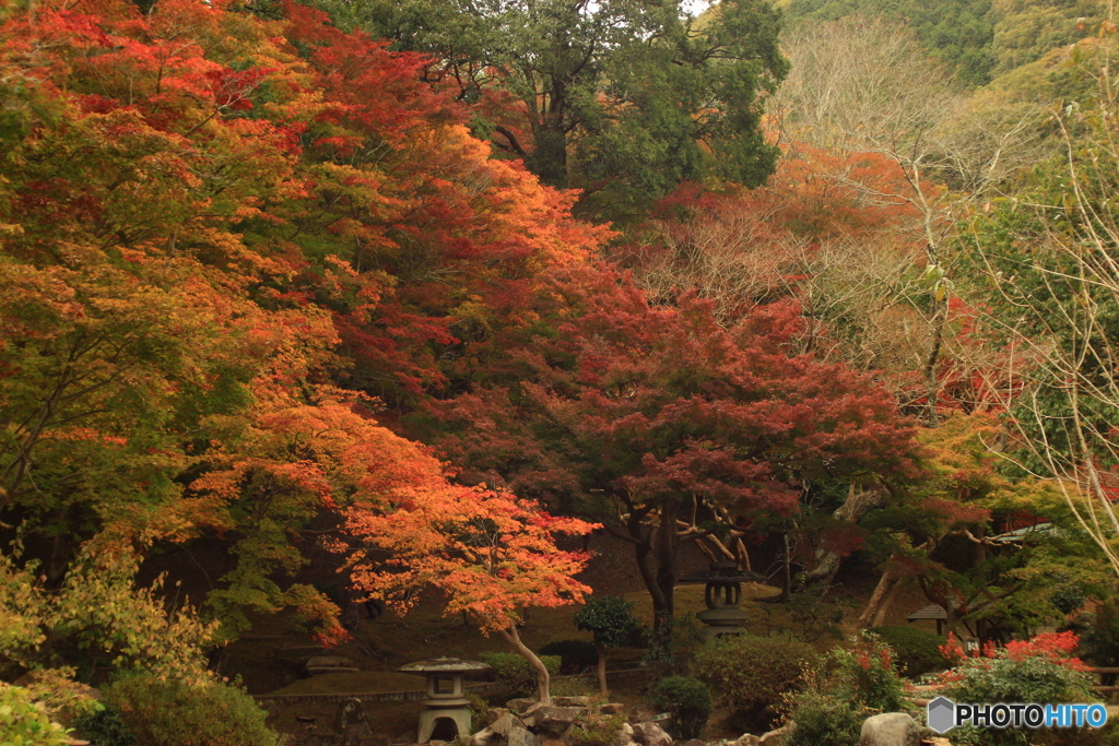 尾関山公園　紅葉狩り 4