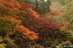 尾関山公園　紅葉狩り 4