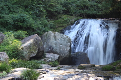 鳴滝森林公園   鳴滝