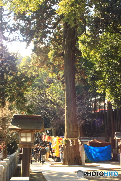 石鎚神社　本社