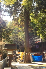 石鎚神社　本社