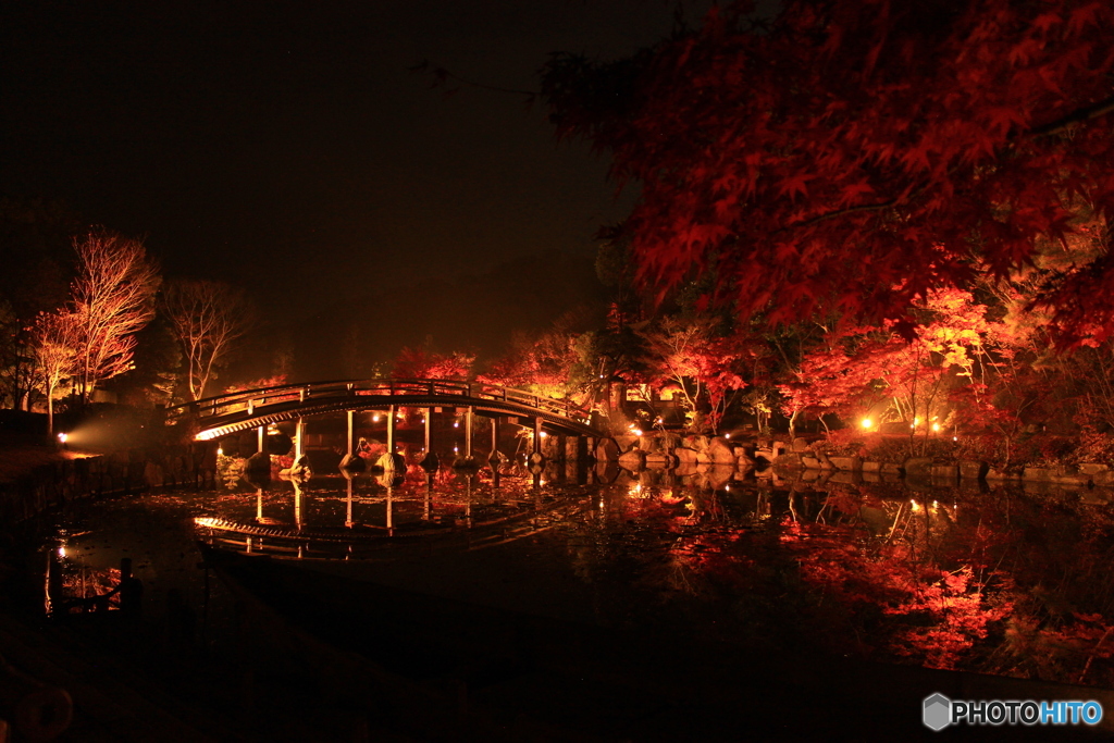 神勝寺　紅葉 3