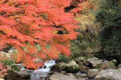 紅葉狩り　３