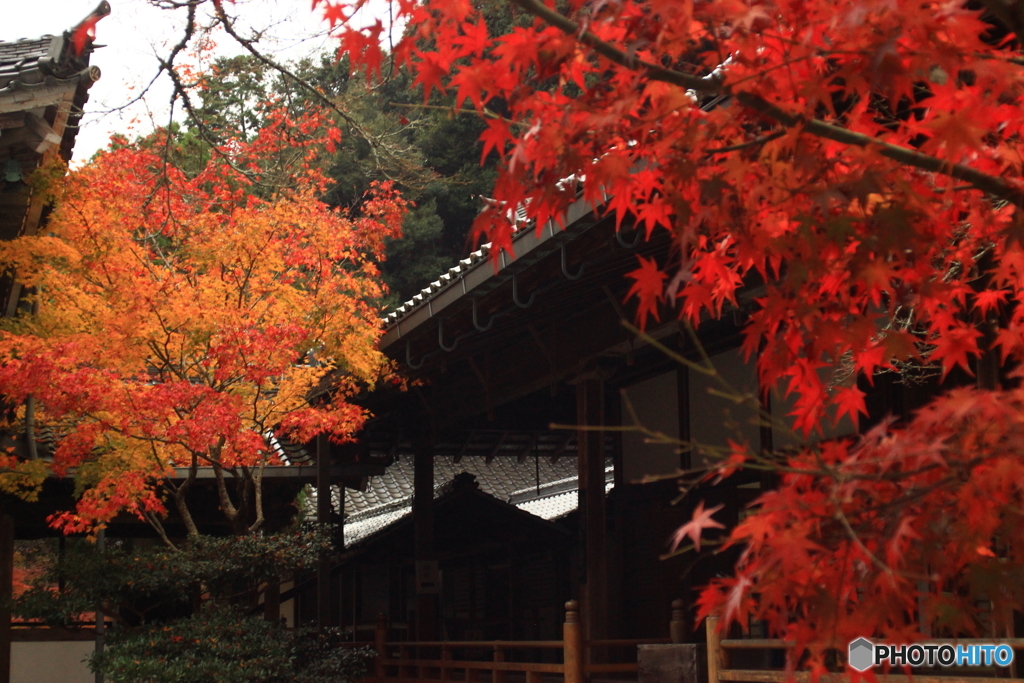 佛通寺