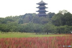 備中国分寺と赤米