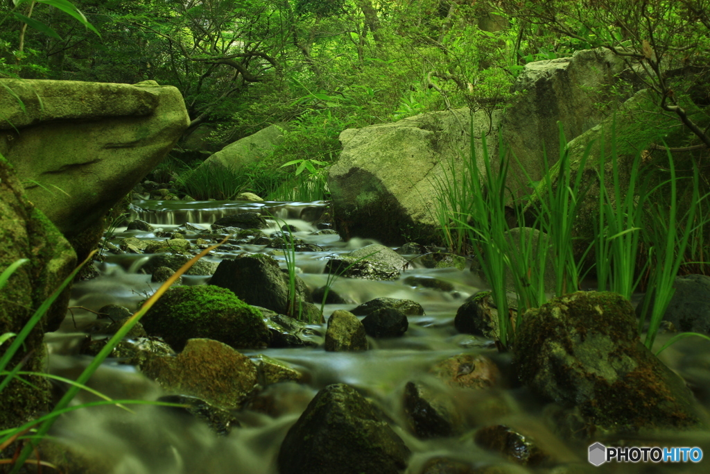 広島県 三原市 本郷町 三景園