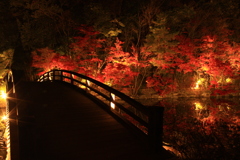 広島県福山市　神勝寺　紅葉