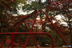 尾関山公園　紅葉狩り 1