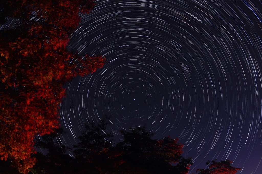 広島県福山市　神勝寺　紅葉と北極星