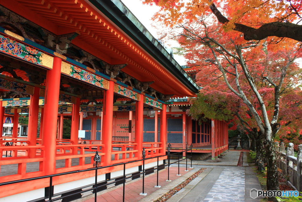 生口島  耕三寺  紅葉  2