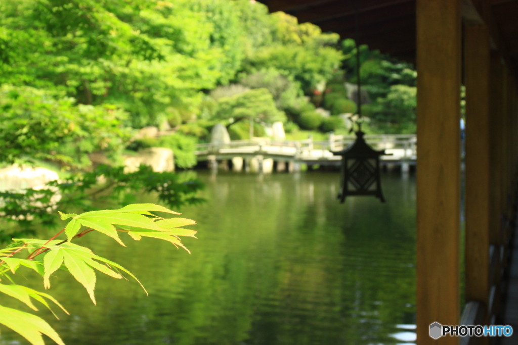 広島県 三原市 本郷町 三景園