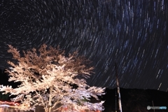 千鳥別尺の夜 ソメイヨシノと流星群 星景