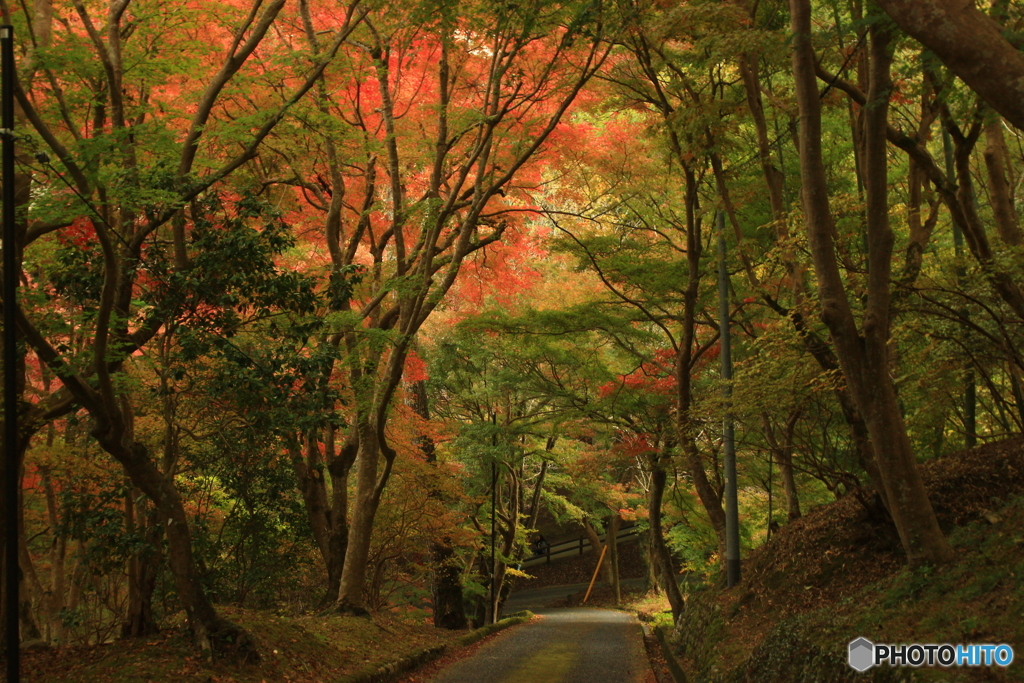 尾関山公園　紅葉狩り 5