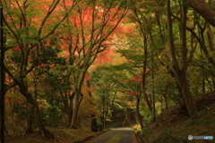 尾関山公園　紅葉狩り 5