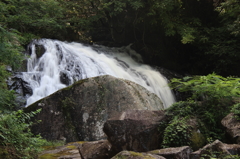 鳴滝森林公園  鳴滝