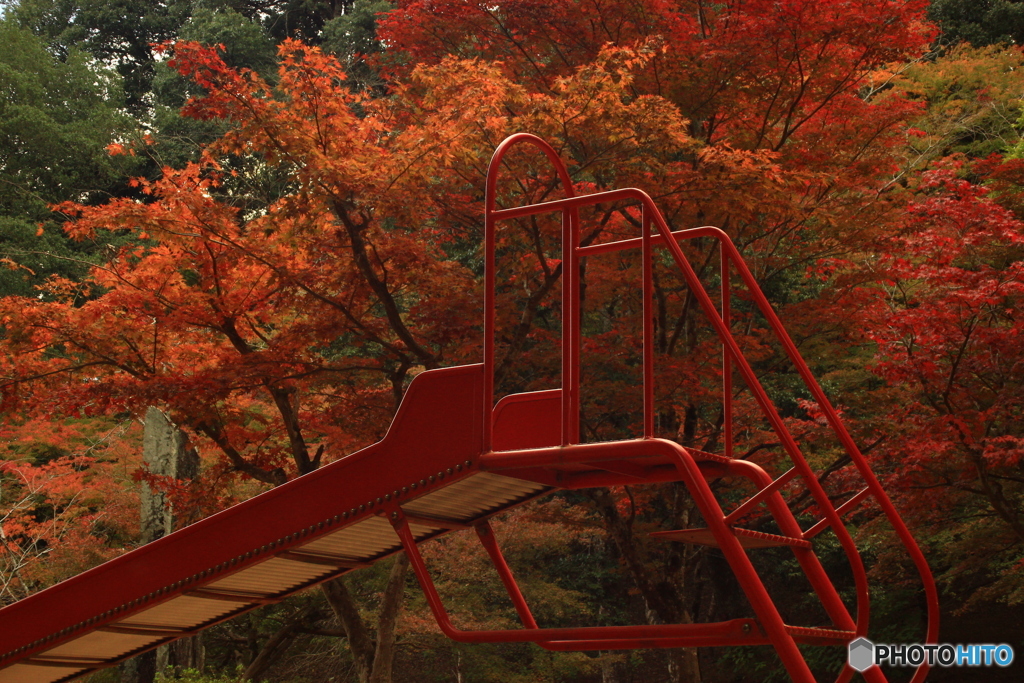 尾関山公園　紅葉狩り 2