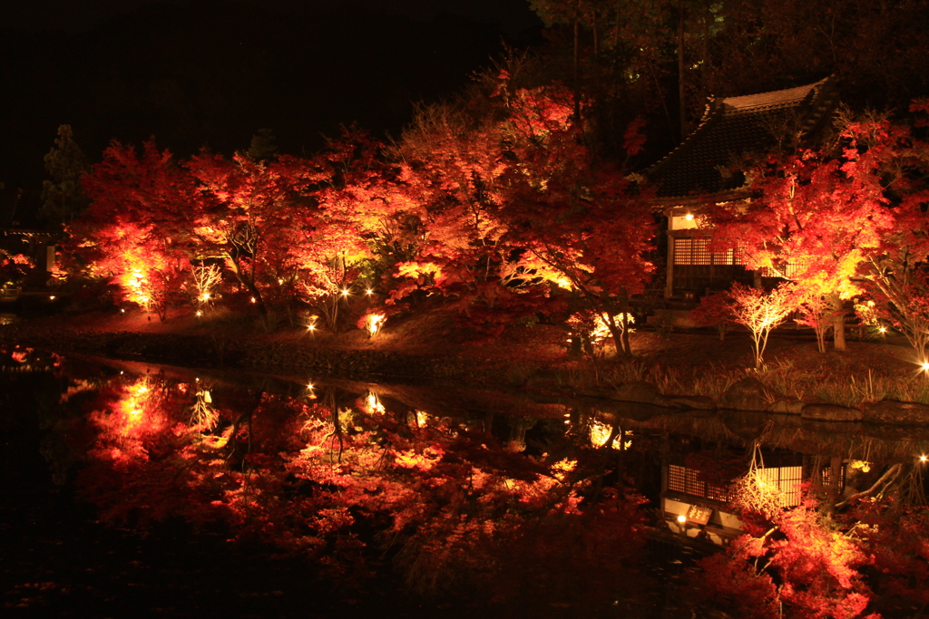 広島県福山市　神勝寺　紅葉