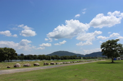 総社水辺の学校