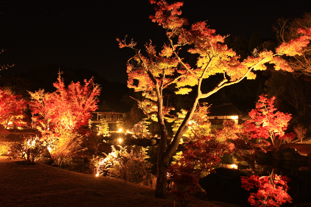 広島県福山市　神勝寺　紅葉