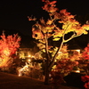 広島県福山市　神勝寺　紅葉