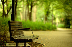 lonely　bench