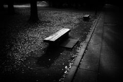  bench