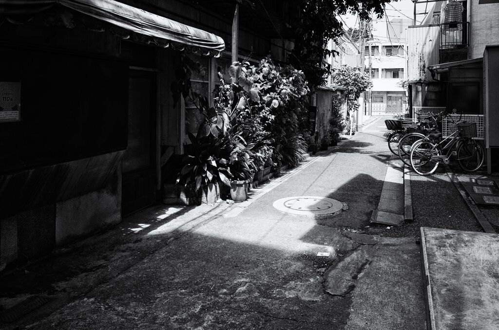 路地1