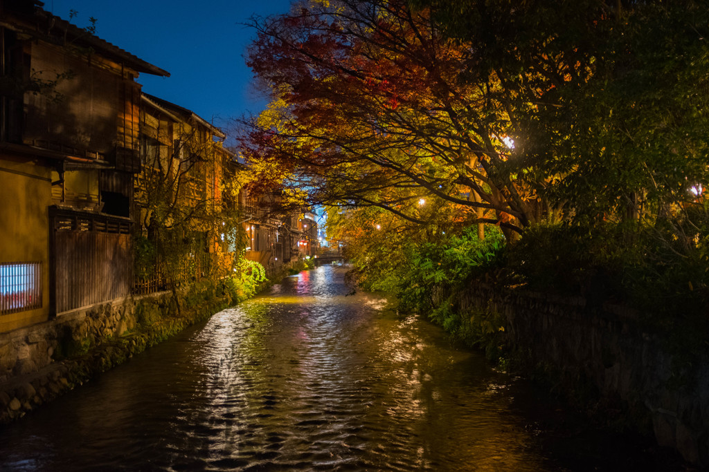 夜の祇園白川