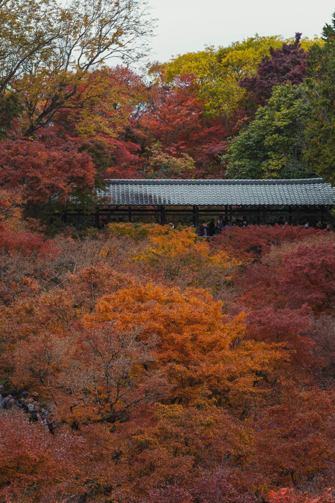 東福寺