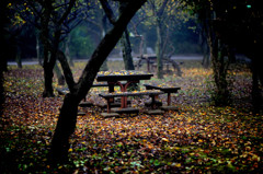 森の中の雀卓