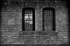 Window in the brick