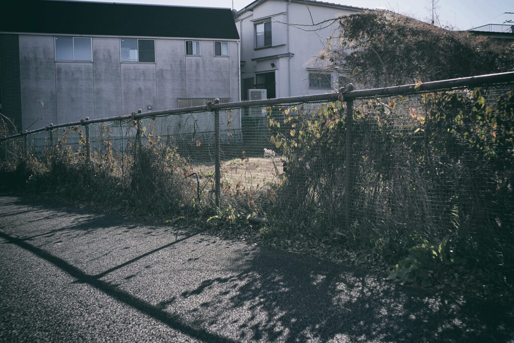フェンスに絡む