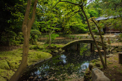 お寺の庭