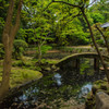 お寺の庭