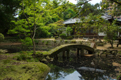 お寺の庭