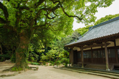 お寺の庭