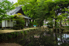 お寺の庭