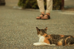 気になる視線