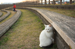 風よけ