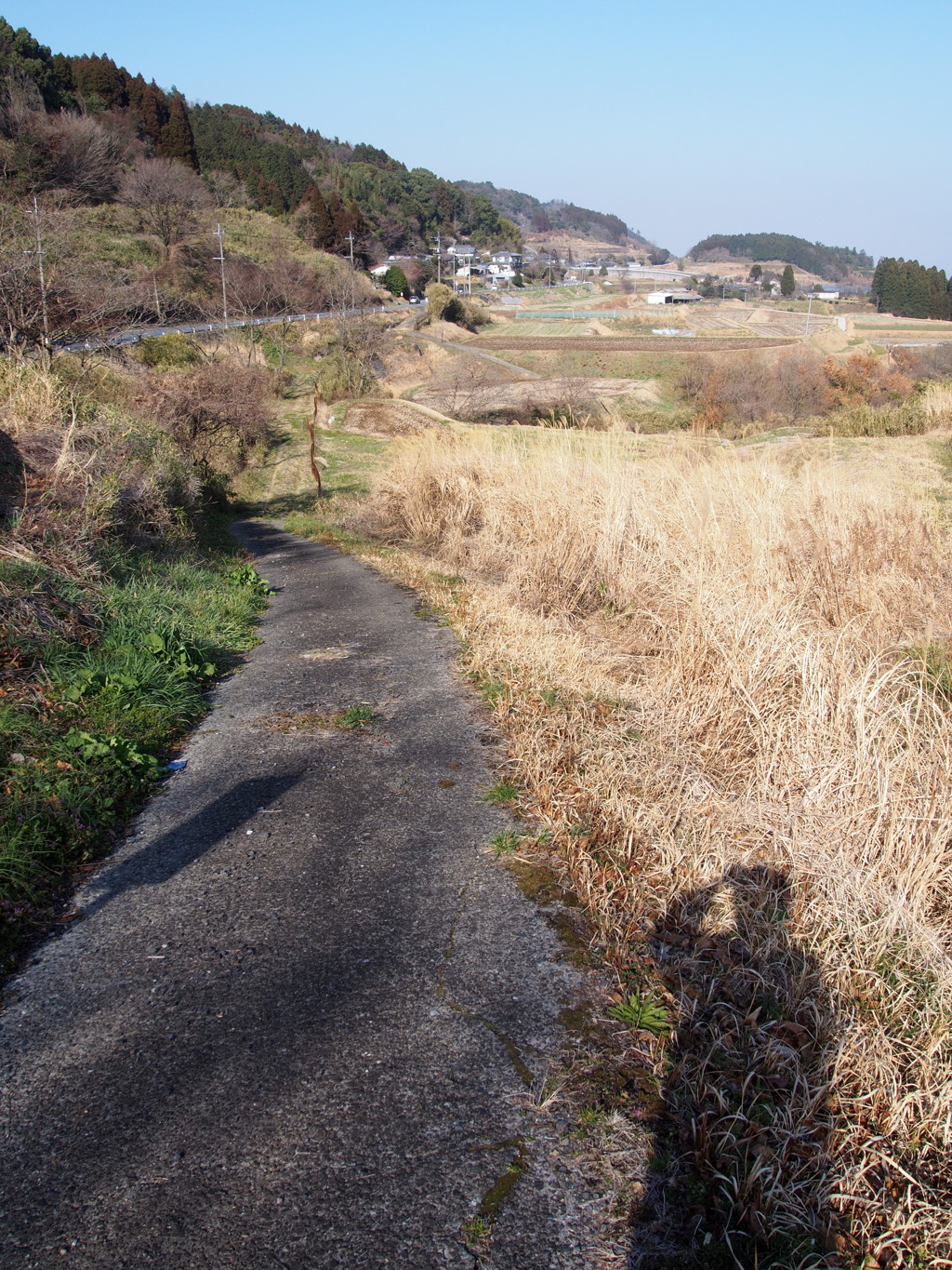 肥後街道とボクｗ