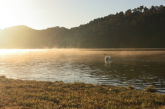 志高湖の朝