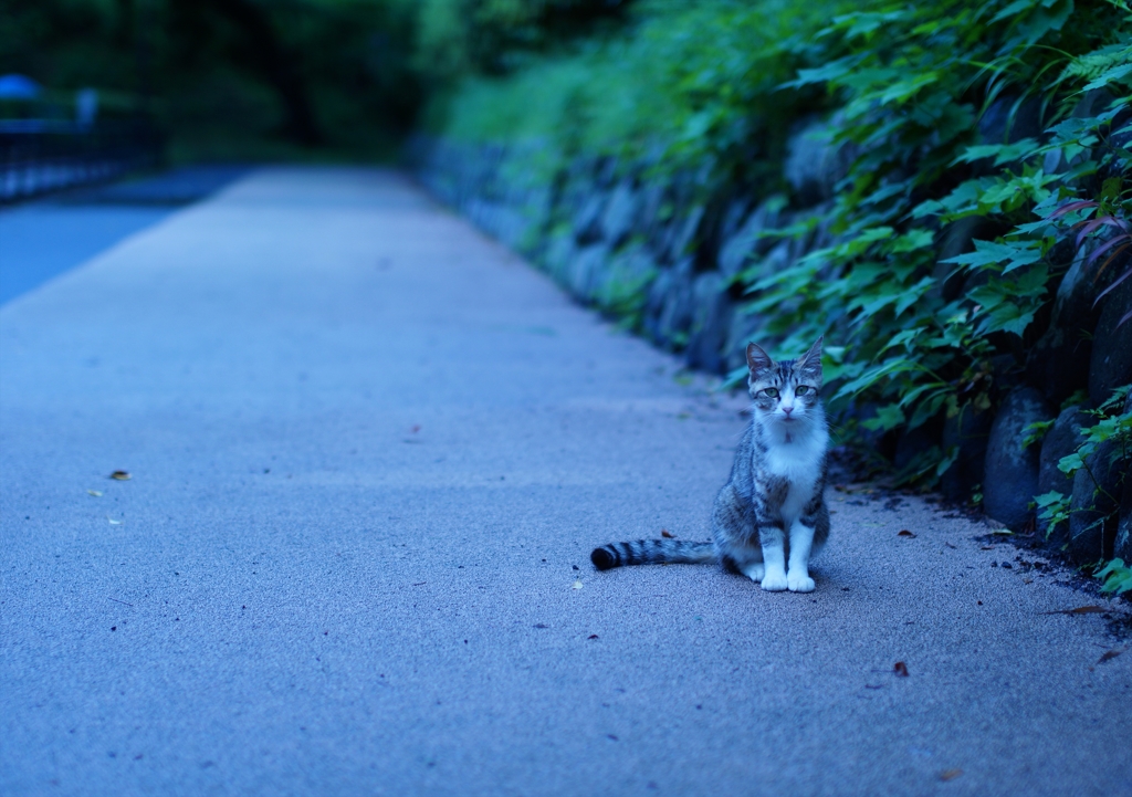 じー・・・