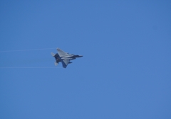 F15_1