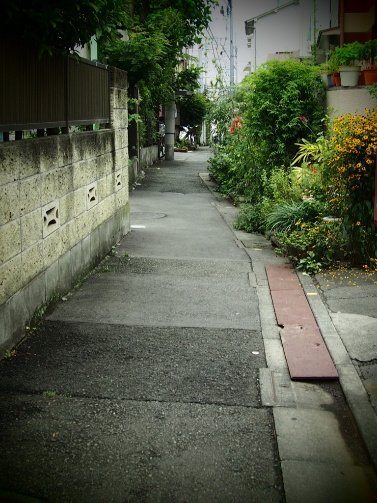 裏道細道