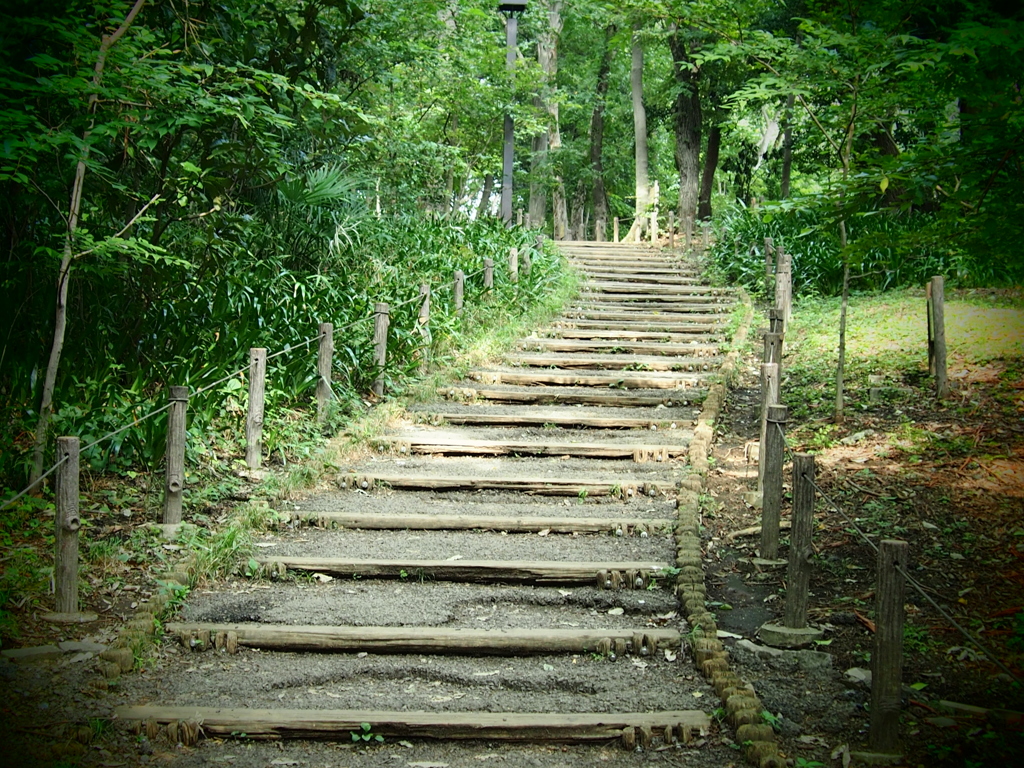 公園のかいだん