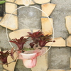 花壁