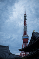 増上寺＆東京タワー①