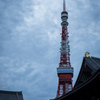 増上寺＆東京タワー①