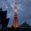 増上寺＆東京タワー②
