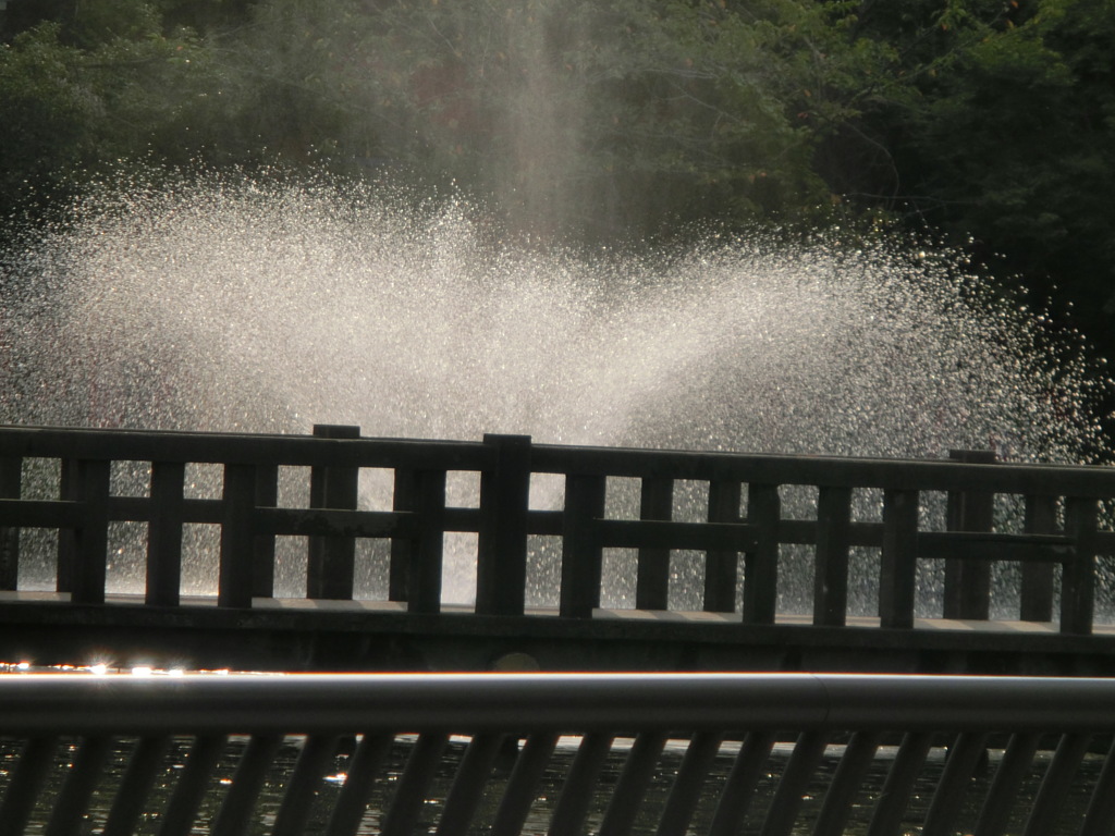 日が差し込んで
